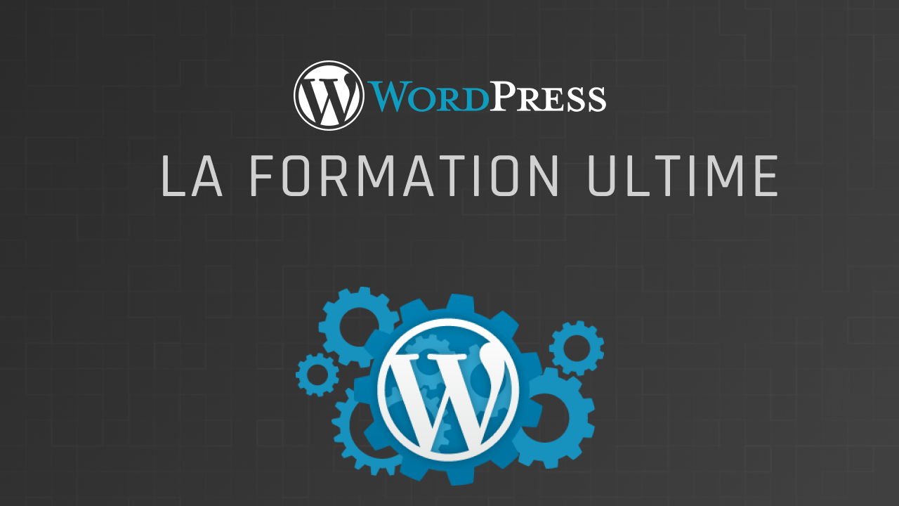 formation WordPress